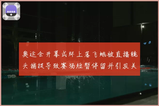 奥运会开幕式环上落飞蛾被直播镜头捕捉导致赛场短暂停留并引发关注