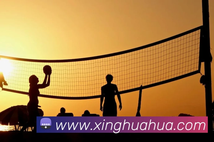 华体网 - 华体 | 专业体育健康品牌APP 封面图